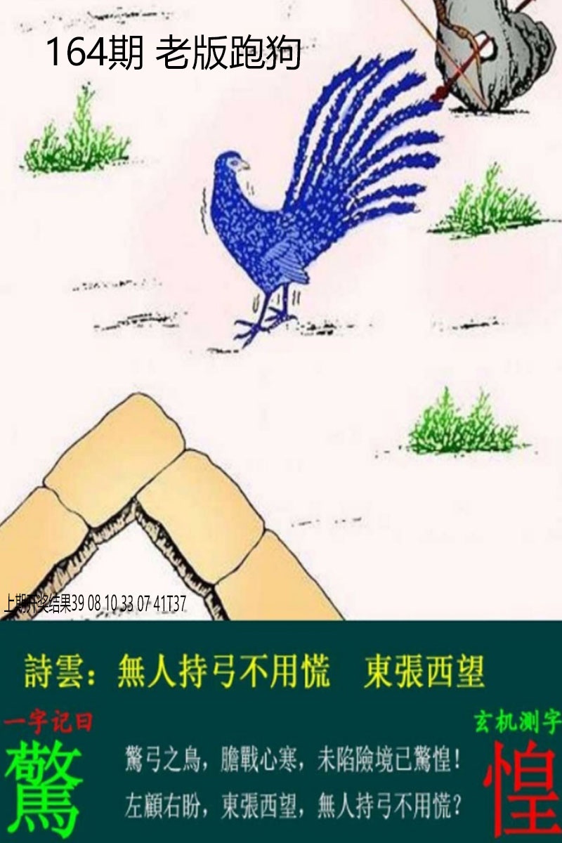 164期老板跑狗[图]